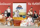 Kaniva เดินเกมใหญ่ตลาดอาหารสัตว์ จัด Kaniva Petstival กลางสยาม เปิดตัว BUS พรีเซนเตอร์ใหม่ เจาะใจ New Gen พร้อมเป้าโต 30% ดันแบรนด์สู่ใจคนเลี้ยงสัตว์