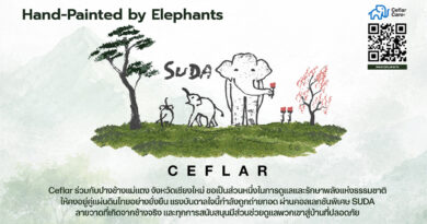 “เคฟล่า” จับมือ “ปางช้างแม่แตง” เปิดตัวคอลเลกชันพิเศษ CEFLAR x SUDA เครื่องใช้ไฟฟ้าจากศิลปะช้างไทย ร่วมสมทบทุนสร้างโรงพยาบาลช้างเชียงใหม่